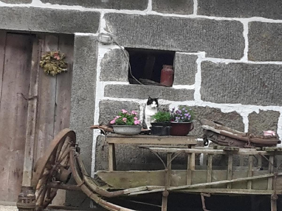 Apartamento Landurlaub Bei Familie Haug Freyung Exterior foto